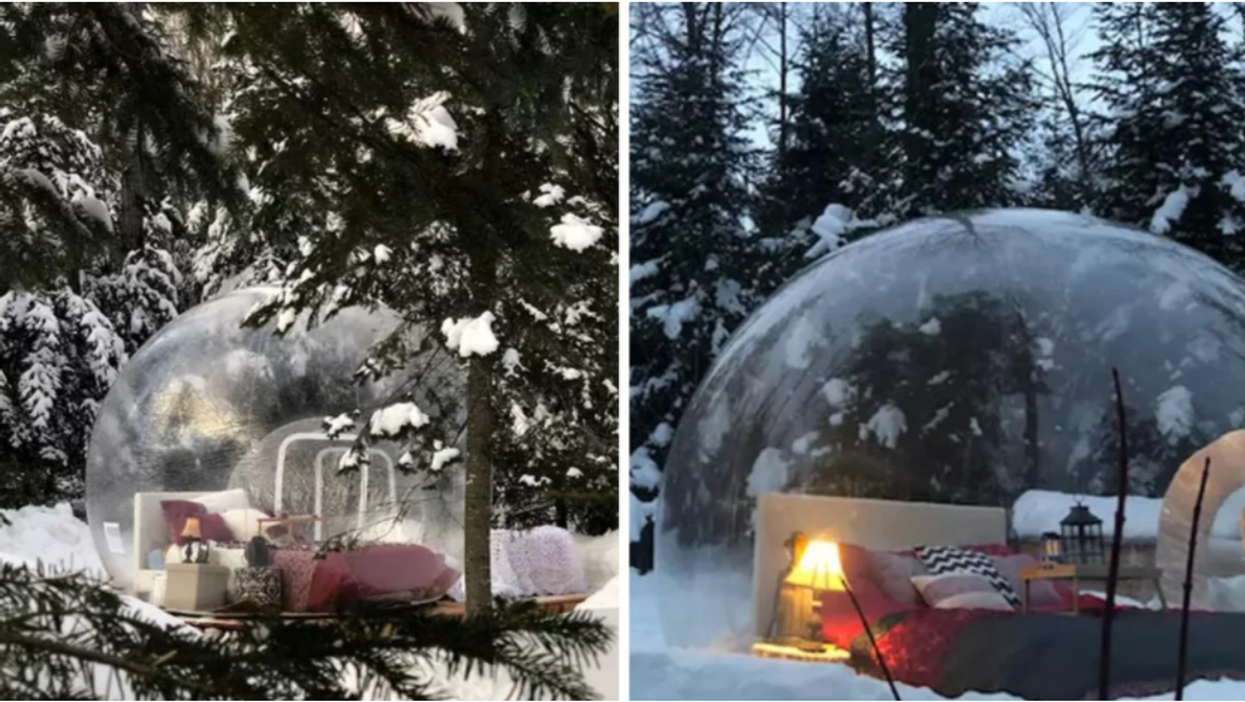 Bubble tent rental cheap