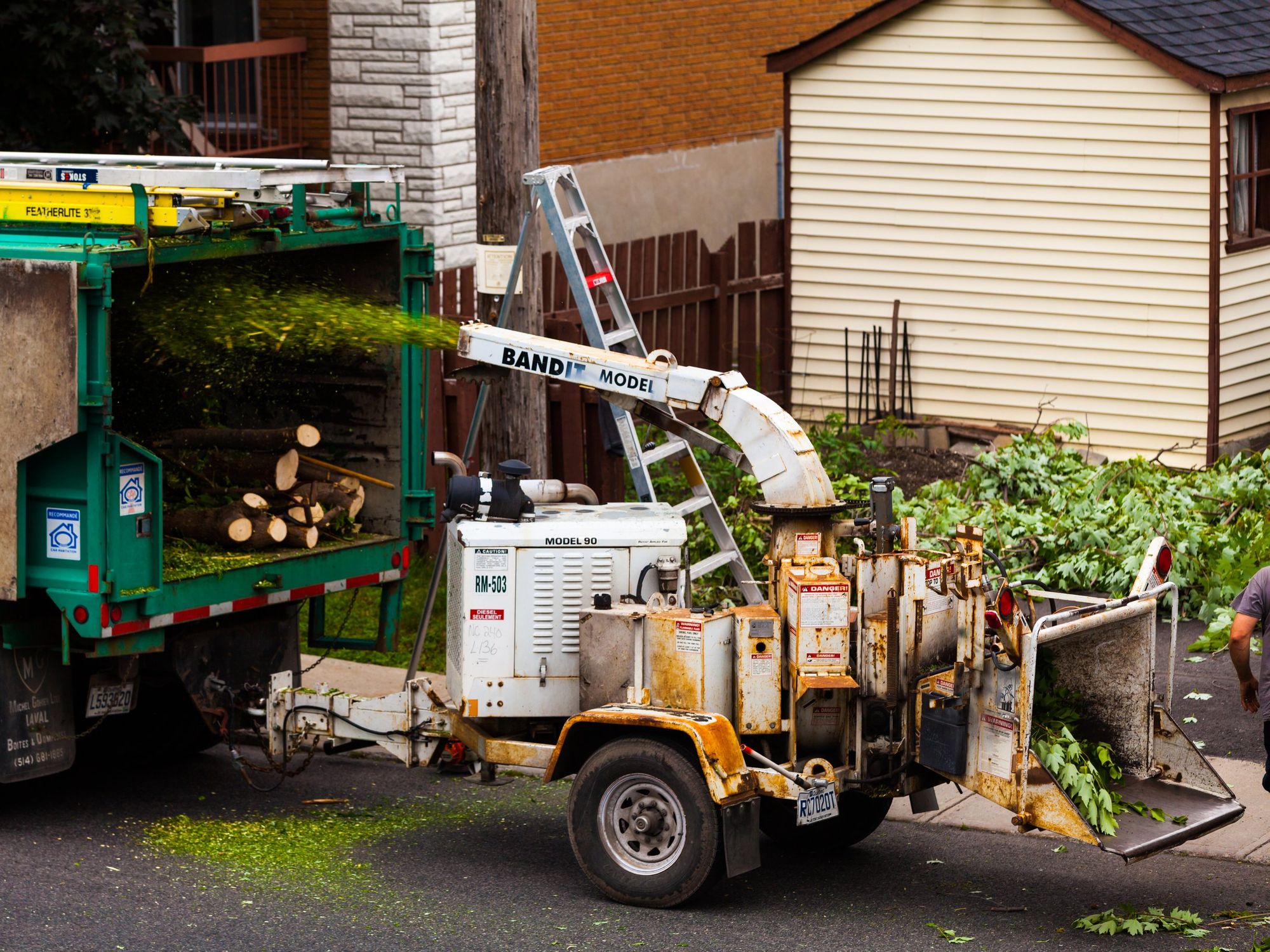 Tree branches being loaded into a shredder for compost in Montreal.