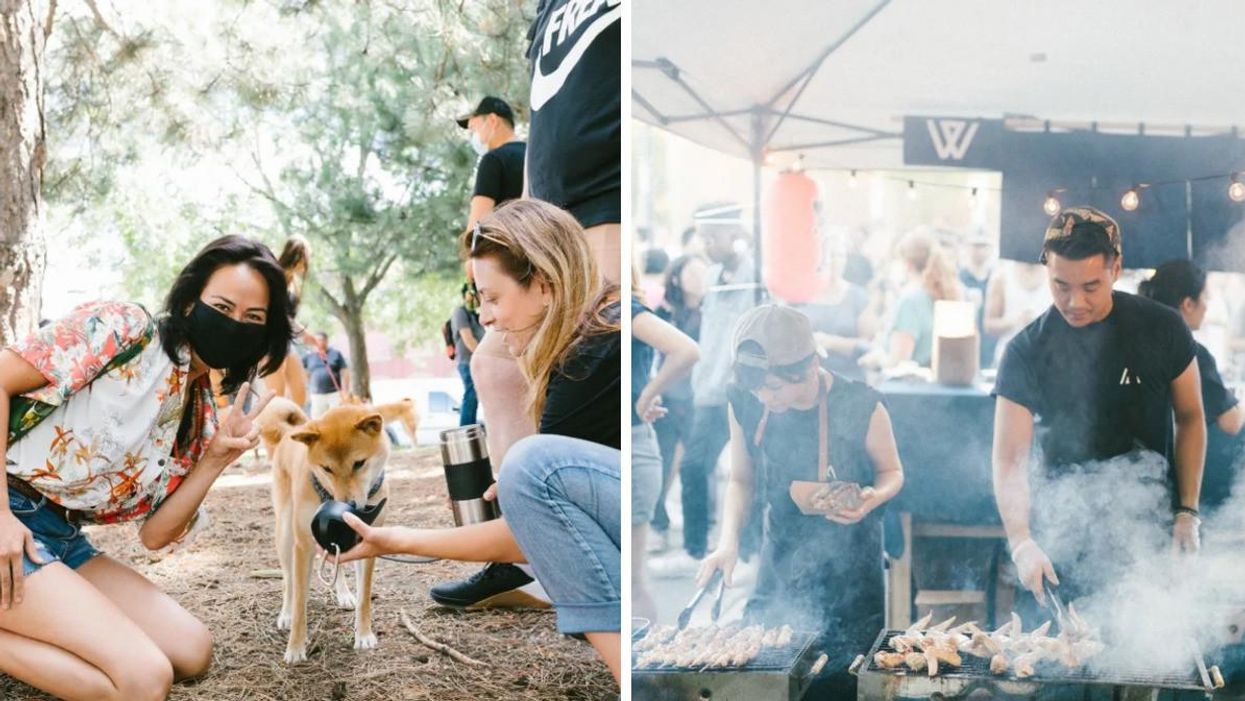 Two people kneeling in a Montreal park with a Shiba Inu dog (left); Two people preparing food on a grill under a tent (right).