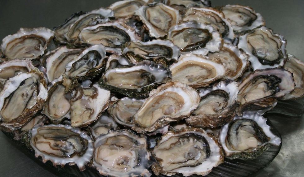 \u200bA pilot of fresh and shucked oysters from British Columbia.