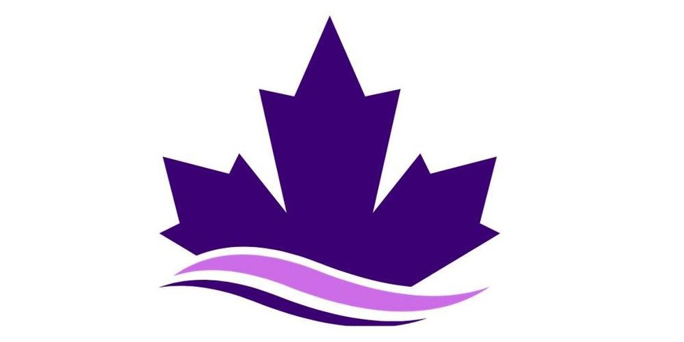 \u200bA purple maple leaf.