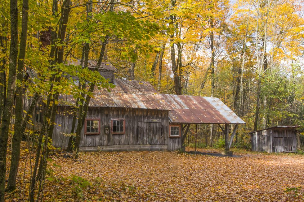 \u200bA sugar shack during the fall in the Eastern Townships.