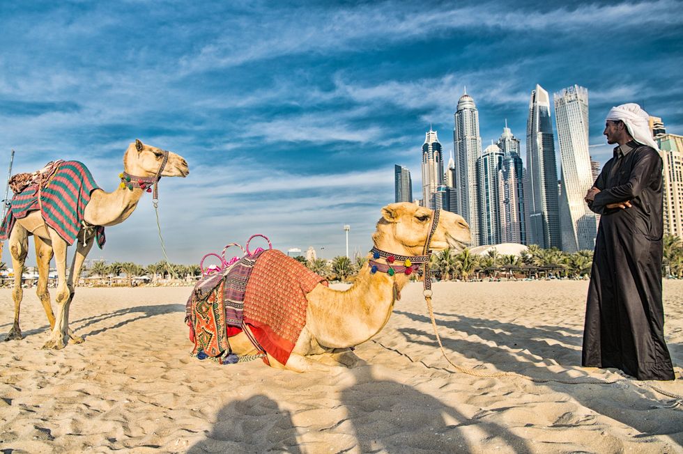 \u200bCamels with a man on the beach with skyscrapers in the background.