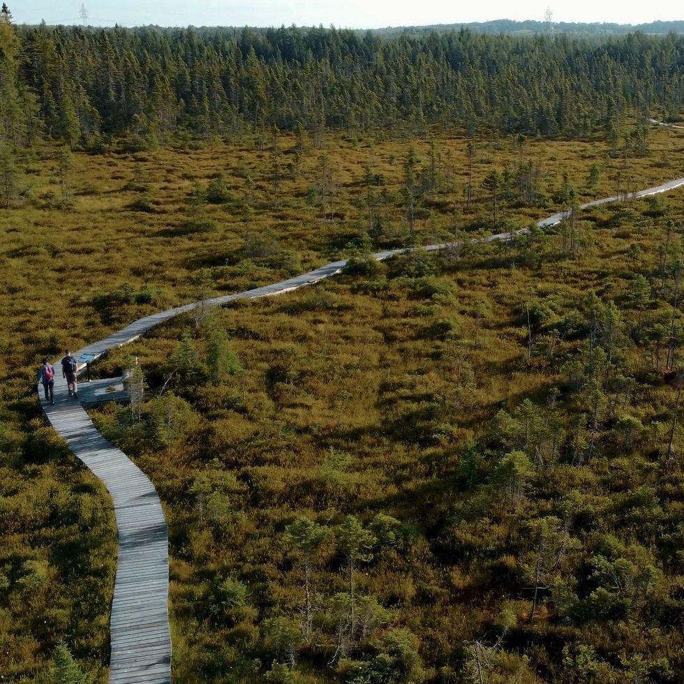 \u200bPeople hike a long boardwalk.