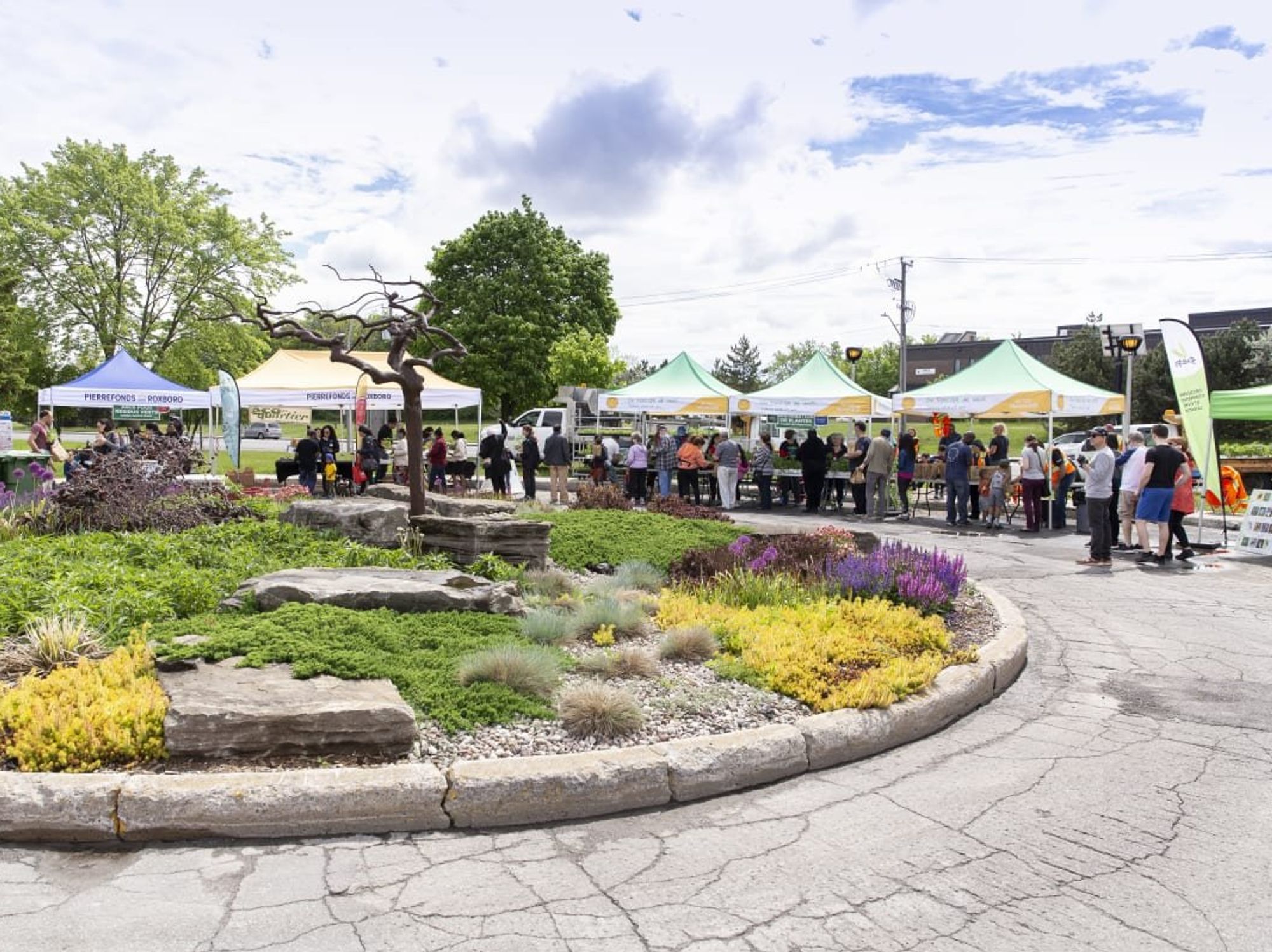 \u200bPeople line up along tents for free plants.