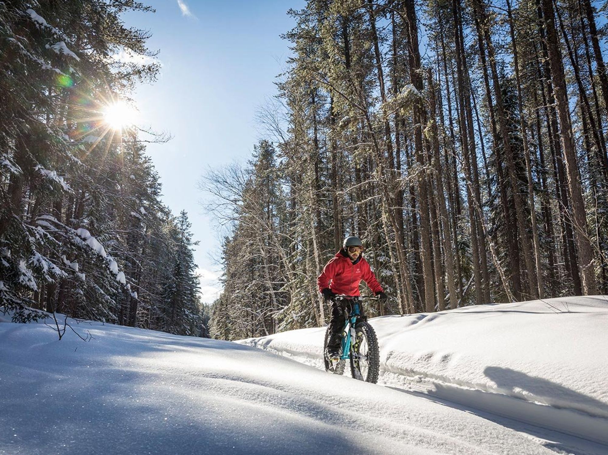 \u200bSomeone in a helmet and red jacket fatbikes in the forest on a sunny day.