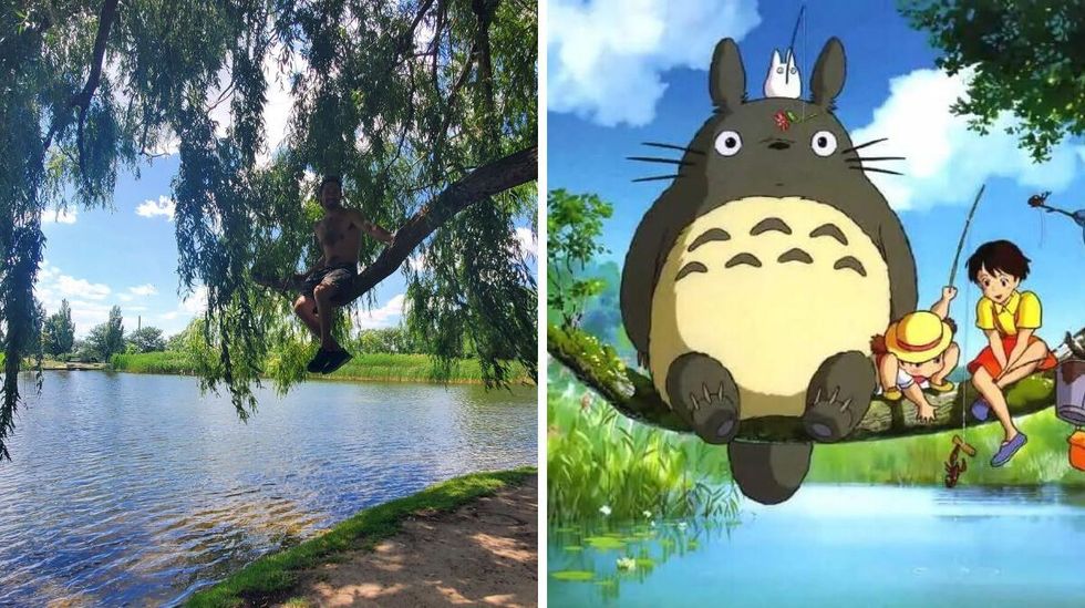 \u200bSomeone sits on a willow tree branch in Jarry Park. Right: Totoro and friends sit on a branch over water.