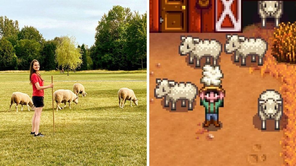 \u200bSomeone stands in a park holding a shepard's crook while sheep graze nearby. Right: A player in Stardew Valley holds up a piece of wool near a barn surrounded by sheep.