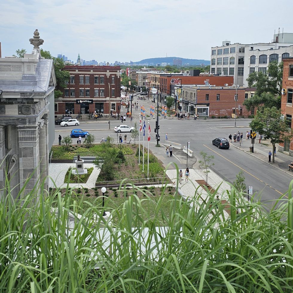 \u200bView of Pie X through plants from the library's rooftop garden terrasse.