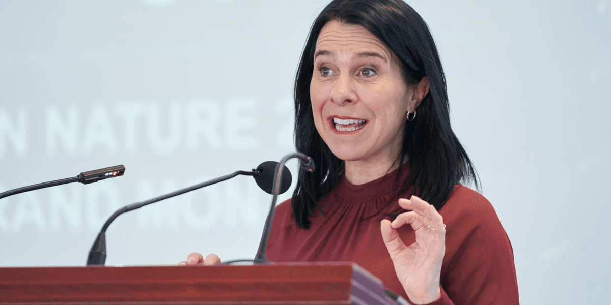 Ex-Montreal mayor Valérie Plante has a new job and we'll be seeing a lot more of her Ex-Montreal mayor Valérie Plante has a new job and we'll be seeing a lot more of her