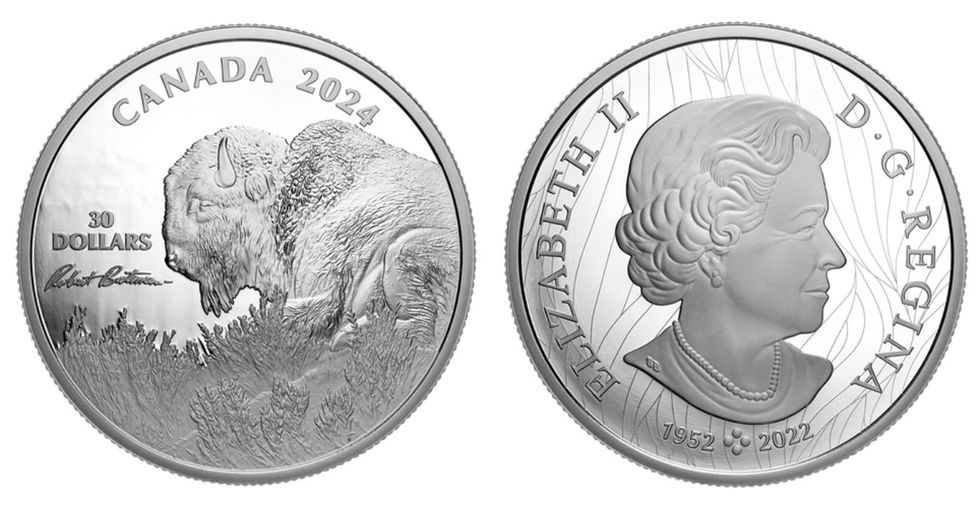 Weather Watch \u2013 Bison ($30 coin)