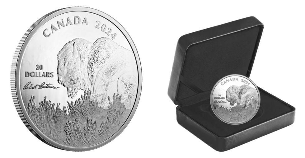 Weather Watch \u2013 Bison ($30 coin)