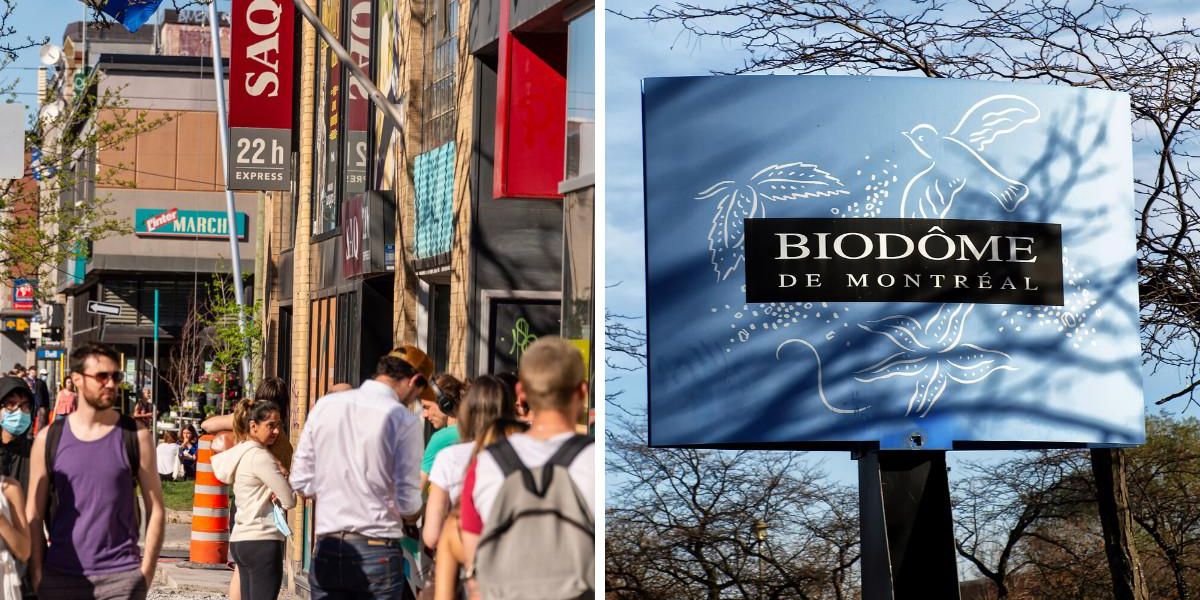 Thanksgiving videos for pre k Thanksgiving videos for pre k