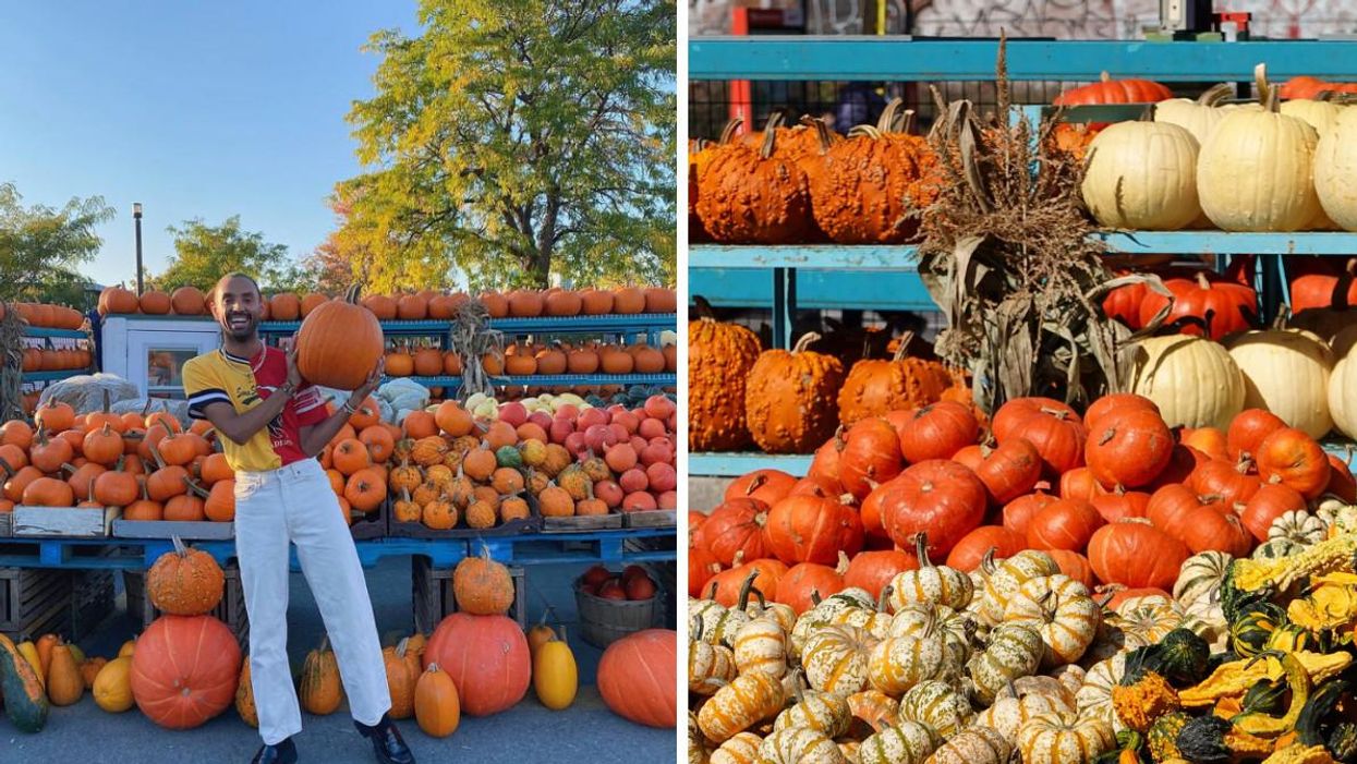 Wondering Where To Buy Pumpkins In Montreal? Check Out These 6 Spots